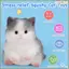 Đồ chơi mèo Squishy nhỏ Giảm căng thẳng Đồ chơi Squishy mèo ngộ nghĩnh Đồ chơi Squishy mèo dễ thương Quà tặng đồ chơi căng thẳng Squishy và mèo trắng
