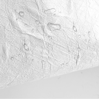 Tấm lót giấy Dupont chống thấm nước Thích hợp cho longcha-p Nhỏ Epure Tote Túi bên trong Vải có thể điều chỉnh Dây đeo vai dài