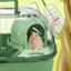 Lồng Hamster du lịch Hộp đựng thú cưng nhỏ có vòm trong suốt Thùng thông gió di động cho chuột Gerbils – Hoàn hảo cho chuyến đi thú y Dã ngoại ngoài trời Thú cưng an toàn cho chuột Hamster