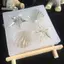 Nhíp Khuôn Silicon DIY Vỏ Sao Biển Conch Silicon Khuôn Làm Bánh Fondant Bánh Trang Trí Dụng Cụ Đất Sét Nhựa Nghệ Thuật Khuôn VN