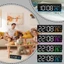 Đồng hồ điện tử DARON, Đồng hồ báo thức kỹ thuật số LED hiển thị nhiệt độ, Hiển thị ngày trong tuần đa chức năng Báo thức kép với chế độ ban đêm Đồng hồ bàn Sử dụng văn phòng