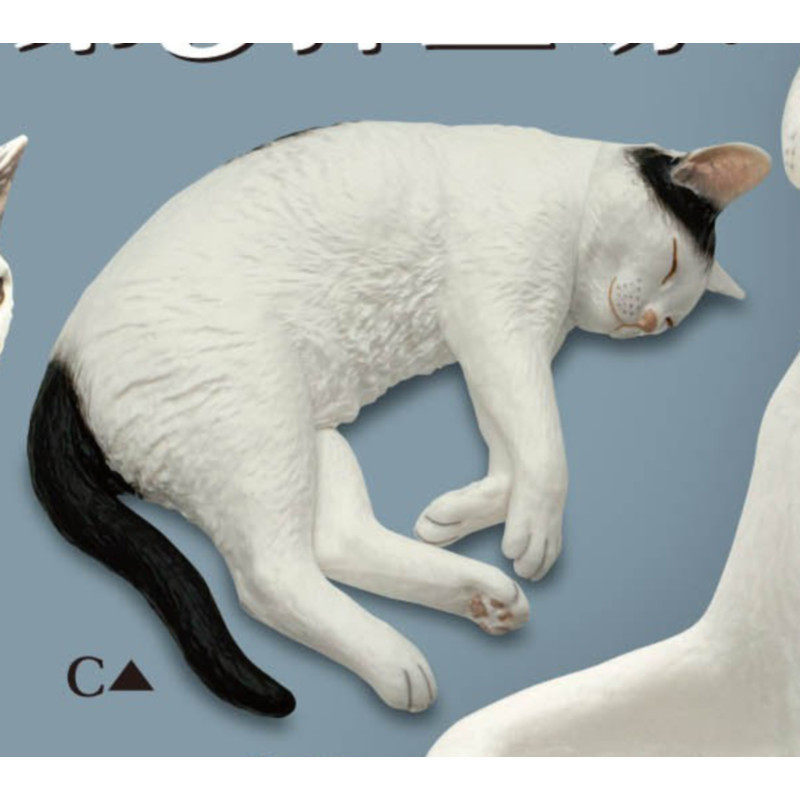 [BTF] Hàng có sẵn Nhật Bản Kitan Gashapon Moriguchi Shu 's Cat 3 Mô hình động vật Trang trí máy tính để bàn N4D6