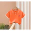 Áo sơ mi Polo trẻ em Animal Friends In hình áo sơ mi ngắn tay cơ bản cho trẻ em Trường học hàng ngày