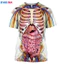 Bộ xương nội tạng 3D - áo sơ mi ngộ nghĩnh cho mùa hè