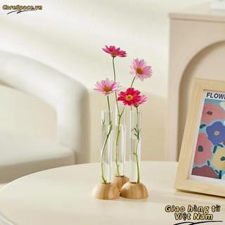 [Vận chuyển nhanh] Bình ống nghiệm CORESSPACE, Bình thủy canh trong suốt tiết kiệm không gian bằng nhựa, có trang trí đế tre Chậu hoa cây cảnh