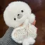 Những Điều Tốt Đề Nghị Biển Động Vật Búp Bê Dễ Thương Con Dấu Sang Trọng Đồ Chơi Làm Nhẹ Nhàng Túi Đậu Pinch Giải Nén Sang Trọng Đồ Chơi Quà Tặng QRFTR