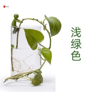 Giá đỡ cây thủy canh - Chậu hoa trang trí văn phòng bể cá để làm vườn