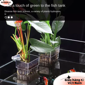 Giỏ trồng thủy canh bể cá NORDICLIFE, Lưu vực cảnh quan Bể trồng cây treo Giá đỡ thực vật bể cá, Cốc trồng cây thủy canh