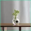 Bình Tủ Lạnh Mini Nam Châm Trong Suốt Kính Ngộ nghĩnh Dán Bình Từ Tính Dễ Thương Trang Trí Tủ Lạnh Cho Nhà Bếp Căn Hộ sonlekvn