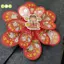 1 Chiếc Ngoài Trời Hai Lớp Cối Xay Gió Màu Đồ Chơi Trẻ Em Nhiều Màu Sắc Gió Spinner Trang Trí Sân Vườn Nhà Công Viên Cảnh Quan Trang Trí Đẹp