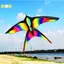 Diều Chim Cầu Vồng Lớn Có Dây Tay Cầm Vải Nylon Nuốt Diều Chim Diều Ngoài Trời Vui Vẻ Đồ Chơi Thể Thao Đẹp