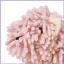 Khăn Tay Treo Tường Thấm Hút Nước Động Vật Dễ Thương Chủ Đề Nhà Bếp Khăn Tay Hình Chó Cho Gia Đình Khách Sạn Ký Túc Xá mueadsyvn
