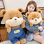 Cùng Ngày Giao Hàng Dễ Thương Nhút Nhát Gấu Sang Trọng Búp Bê Gấu Búp Bê Búp Bê Ragdoll Cặp Đôi Gấu Trẻ Em Bé Trai Quà Tặng Cô Gái Gối