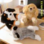 Rytanda Mô Phỏng Dễ Thương Husky Golden Retriever Shepherd Bugburn Dog Gối Sang Trọng Động Vật Mềm Búp Bê Sofa Đệm Quà Tặng Cho Trẻ Em Bạn Gái Trang Trí Ngày Lễ Tình Nhân Quà Tặng Sinh Nhật
