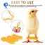 Dây buộc chân gia cầm, Niềng răng lồng gà, Niềng răng kẹp chân cho bé Chick Splay 12Psc