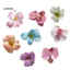 Linh hồn| Hoa lan bền lâu Hoa giả 10 chiếc Lụa nhân tạo Phalaenopsis Hoa lan Đầu hoa lan giả cho bó hoa cưới Thủ công Diy Trang trí nội thất Đông Nam Á