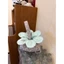 Ins Style Fresh Flower Shape Túi nhỏ Túi xách di động Túi ăn trưa Túi xách thông thường dành cho sinh viên