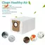 Túi hút bụi chân không Phù hợp cho các bộ phận máy hút bụi Q MaxV / Q S / Q Pro Túi đựng bụi dung tích lớn Túi đựng bụi thay thế vệ sinh gia đình 10 CÁI