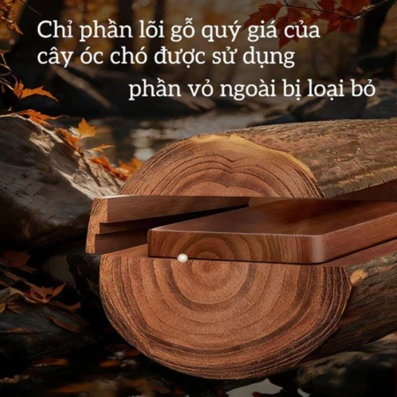 Móc treo tường bằng gỗ óc chó, độ bám dính siêu mạnh, chống thấm nước và chống nấm mốc, chất liệu hợp kim nhôm bền chắc.