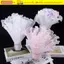 Gói Bó Hoa CORALTIDE, Bao Bì Hoa Sợi Sóng Ngọc Trai 28cmx4Yards, Bao Bì Trang Trí Lưới Ren Chất Liệu Viền Ngọc Trai Cung Cấp Bao Bì Tiệc Cưới