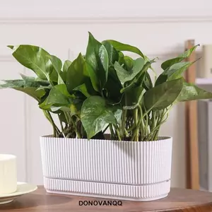 Chậu cây tự tưới DONOVANQQ nhựa hai lớp, thủy canh, bình để bàn, lỗ thoát nước, trang trí văn phòng, dung tích lớn