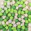 Hàng sẵn có Sản phẩm hoàn thiện Ngôi sao may mắn Gấp Ngôi sao tốt Quà tặng sáng tạo DIY Handmade Origami Viết được Chai chúc Ngôi sao may mắn 35ZU