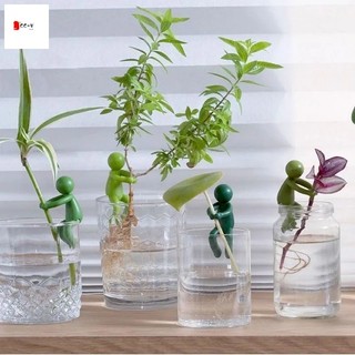 Giá đỡ cây thủy canh - Chậu hoa trang trí văn phòng bể cá để làm vườn