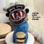Bán chạy Delta Beetle Mặt dây chuyền Búp bê Beetle Đồ chơi sang trọng Túi cánh cứng Mặt dây chuyền nhỏ Quà tặng ngoại vi