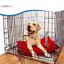 TRTR 10 Chiếc Lò Xo Đa Năng Lo Động Vật Thú Cưng Lồng Lưới Lò Xo Thỏ Lồng Cửa Căng Thẳng Lò Xo Có Móc VN