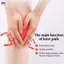 XOITOP 1 Miếng Lót Đầu Gối Thể Thao Nam Nữ Áp Lực Đàn Hồi Hỗ Trợ Đầu Gối Miếng Lót Thoáng Khí Mỏng Bóng Chuyền Tập Thể Hình Nẹp Bảo Vệ VN