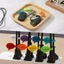 Nhãn Nylon tự dính - Tab cáp bong bóng phát biểu - Móc & Thẻ vòng có thể ghi được - Bút đánh dấu dây buộc thiết bị - Nhãn nhận dạng cây đầy màu sắc / Giao hàng miễn phí