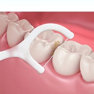 Combo 12 Hộp (600 Cái) Tăm Chỉ Nha Khoa Cao Cấp, Vệ Sinh Răng Miệng Hiệu Quả
