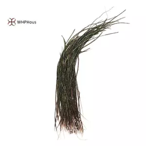 Vật liệu buộc dây lông vũ Peacock Herl từ 3 đến 7 inch - Đẹp và Phù Hợp cho Fly Tying