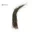 Vật liệu buộc dây lông vũ Peacock Herl từ 3 đến 7 inch - Đẹp và Phù Hợp cho Fly Tying