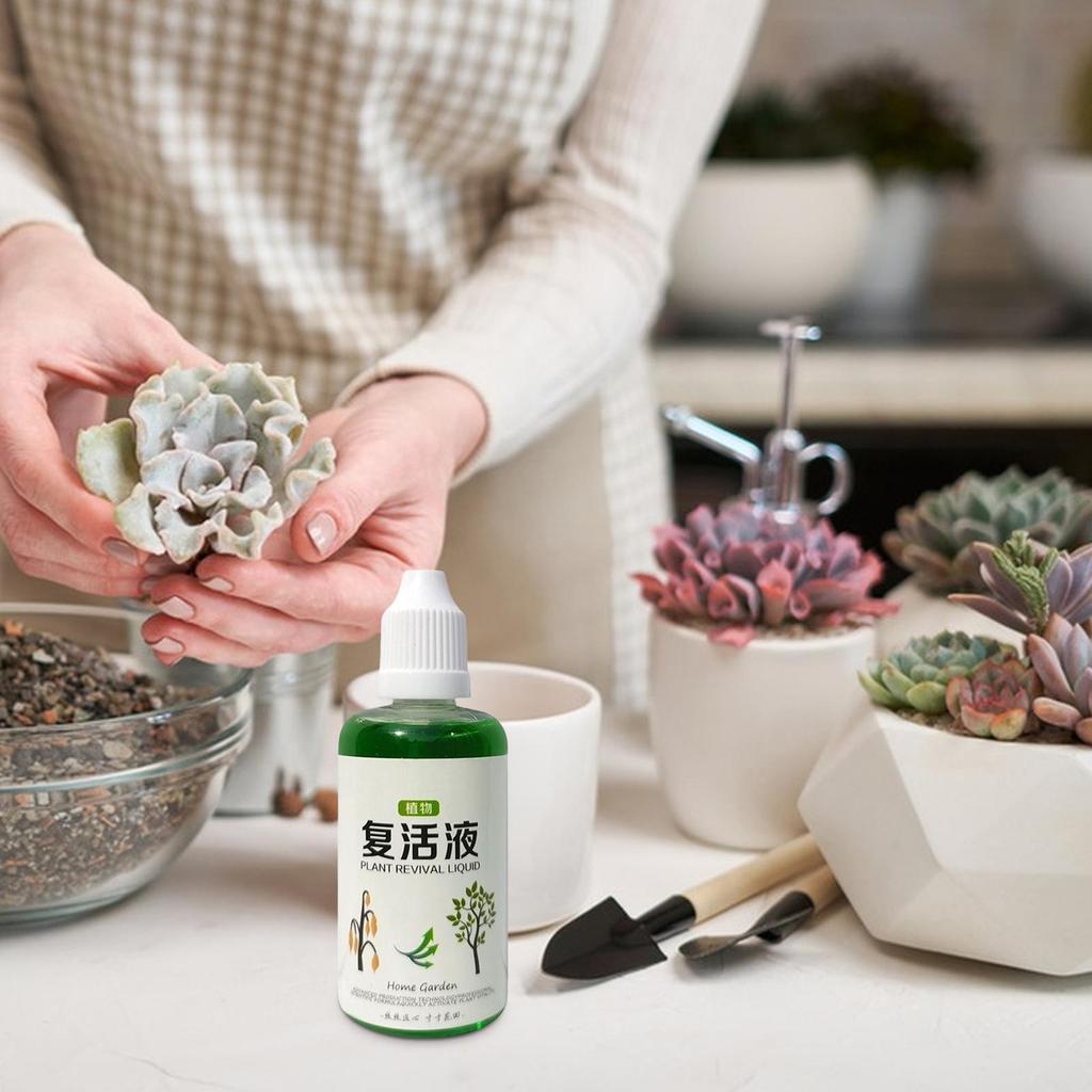 Máy kích thích rễ cây Phân bón dinh dưỡng rễ 50ml Chất lỏng tự nhiên cho đất Phân hủy hoa mueadsyvn