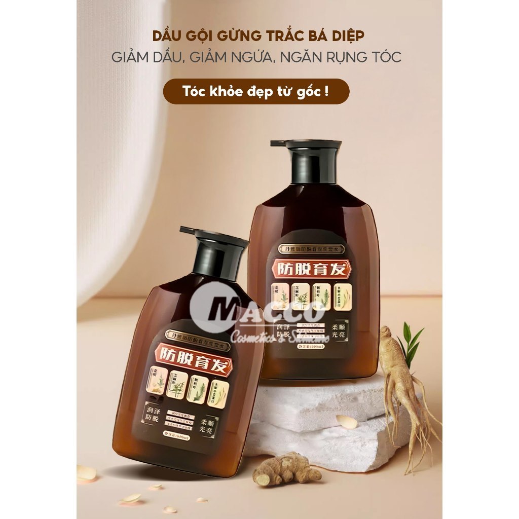 Dầu Gội Gừng Trắc Bá Diệp (500ml) Giảm Dầu Ngứa, Ngăn Rụng Tóc, Tăng Mọc Tóc