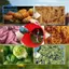 Bộ lưỡi cắt cỏ đa chức năng cạnh thép không gỉ Dụng cụ cắt rau củ chống rỉ Trang trại / Nhà