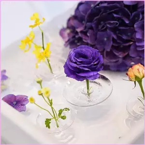 Phích cắm hoa nổi Cinna được sử dụng cho bát và bể cá Xoay động Hiệu ứng nổi cần thiết cho trang trí nội thất