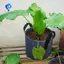 Chậu vải hạng nặng, Túi trồng rau / hoa / cây, Chậu vải không dệt dày có tay cầm (5 gallon)