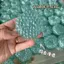 Sáng Tạo Cùng Phong Cách Nhiều Màu Sắc Ồn Bóng Định Hình Tay Bóng Đính Hạt Đồ Chơi Giải Nén Thông Hơi Rebound 5.4