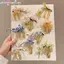 Photoframe Tóc Cổ Điển Phong Cách Trung Hoa Tóc Sti U Hình Hoa Sườn Xám Kẹp Tóc Cho Hanfu Phụ Kiện VN