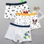 Quần Lót Trẻ Em Nam Cotton Nguyên Chất Boxer Giữa Lớn Trẻ Em Bé Trai Boxer Quần Short