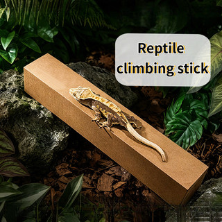 Gậy leo núi bò sát có thể cắt được Kết cấu tự nhiên Trang trí Terrarium cho tắc kè và thằn lằn