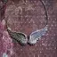 AqToCna Vintage Màu Bạc Cánh Thiên Thần Lông Vũ Choker Mặt Dây Chuyền Lớn Liên Kết Dây Xích Nelaces Cho Nữ Trang Sức Cưới Bộ Lạc Quà Tặng AqToCna