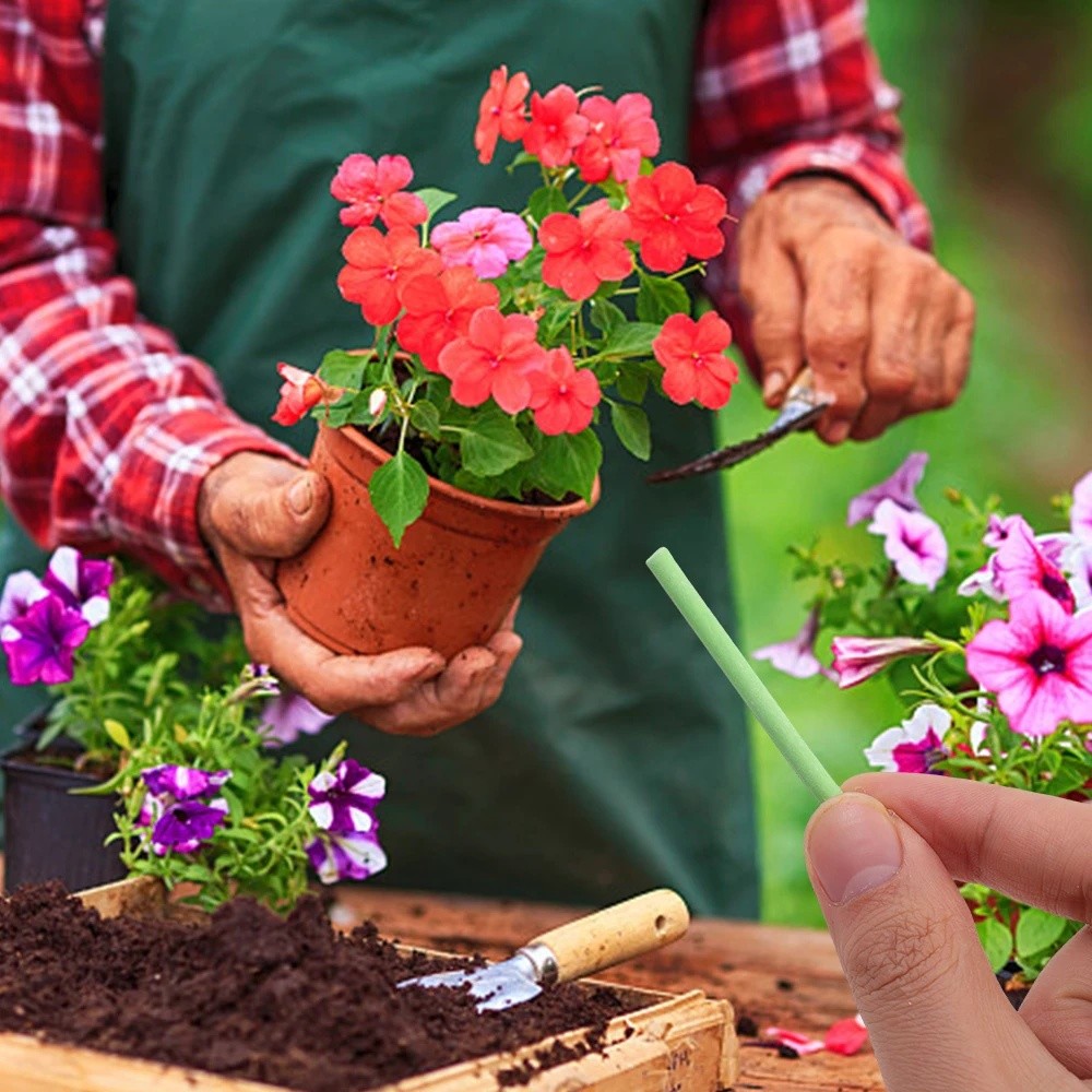 18 chiếc Que phân bón hoa Thanh dinh dưỡng giải phóng chậm cho cây trồng trong chậu