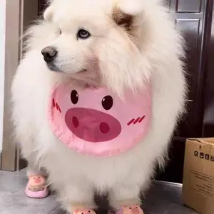Chó Nước Bọt Khăn Thú Cưng Yếm Mùa Hè Chống Răng Tóc Chống Bẩn Khăn Tóc Vừa Lớn Vàng Retriever Satsuma Phụ Kiện Quần Áo