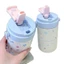 Ngôi Sao May Mắn Rơm Cốc Dung Tích Lớn Bé Gái Cao Cấp Giữ Nhiệt Học Sinh Niche Cốc Nước Chống Va Chạm
