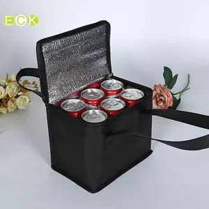 Hộp Làm Mát Ngoài Trời Di Động Cách Nhiệt Túi Làm Mát Cắm Trại Thực Phẩm Uống Bento Túi BBQ Zip Pa Đồ Dã Ngoại Đẹp