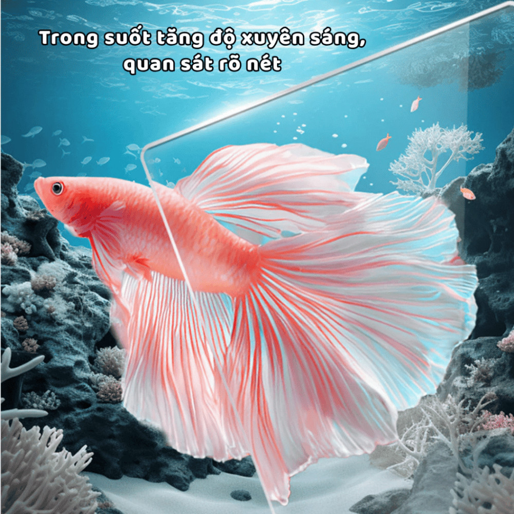 Bể Cá Mini Trong Suốt HomeMate – Bể Cá Nhựa PET Chống Rơi Vỡ, Decor Bàn Làm Việc & Phòng Khách