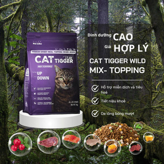 Thức ăn hạt cho mèo CAT TIGGER WILD 1KG - Bí Quyết Lông Mượt, Khỏe Mạnh Từ Hoàng Kim Petshop